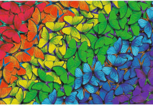 Rainbow Butterflies Rainbow & Gradient By Trefl
