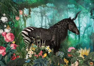 Equipidae by Andre Sanchez Forest By Heye
