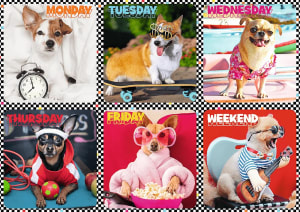 Happy Dogs Collage By Trefl