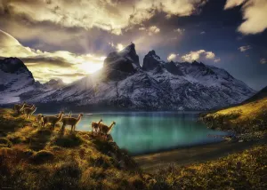 Guanacos Sunrise & Sunset By Heye