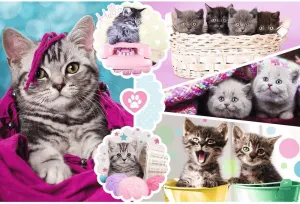 Lovely Kittens Children's Cartoon By Trefl