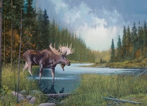 Moose Lake Lakes & Rivers By Cobble Hill