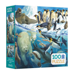 Polar Parents (John Francis) Birds