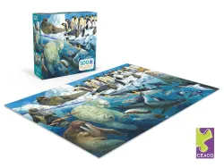 Polar Parents (John Francis) Birds