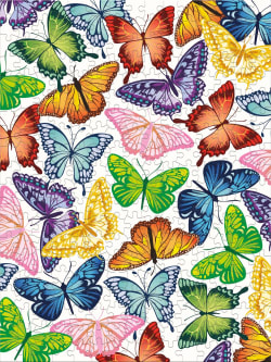 Summer Butterflies (Arrolynn Weiderhold) Butterflies and Insects