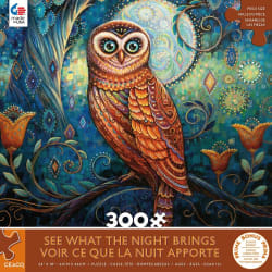 See What the Night Brings Birds