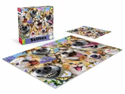 Companion Selfies Cats