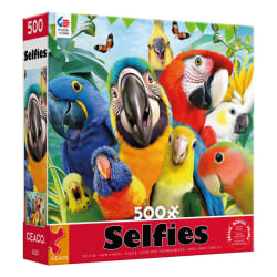 Perfect Parrot Selfies Birds
