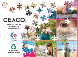 Hilarious Animals Animals