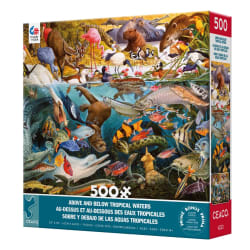 Above and Below: Tropical Waters (John Francis) Animals