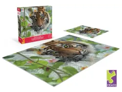 Orchid Haven (Collin Bogle) Big Cats