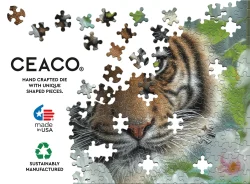 Orchid Haven (Collin Bogle) Big Cats