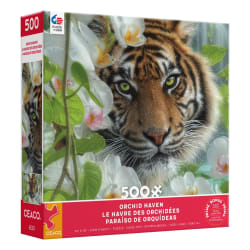 Orchid Haven (Collin Bogle) Big Cats