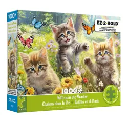 Kittens in the Meadow Cats