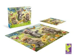 Kittens in the Meadow Cats