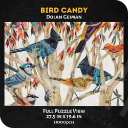 Bird Candy by Dolan Geiman Birds