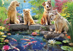Doggies At The Koi Pond Dogs