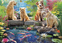 Doggies At The Koi Pond Dogs