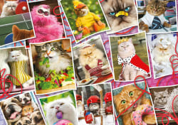 Cranky Kitties Collage Cats