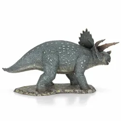 Triceratops Dinosaurs