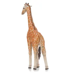 Giraffe Animals