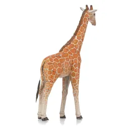 Giraffe Animals