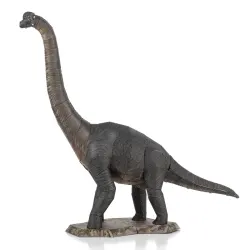 Brachiosaurus Dinosaurs