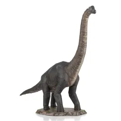 Brachiosaurus Dinosaurs