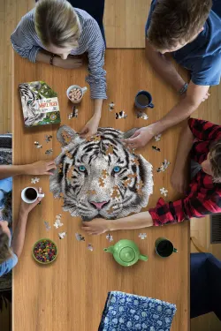 I AM White Tiger Cats