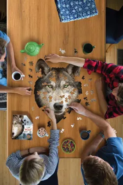 I Am Wolf - Scratch and Dent Wolf