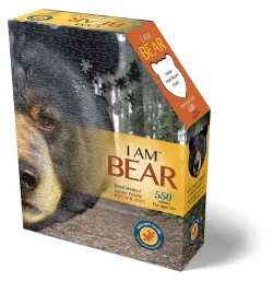 I Am Bear Forest Animal