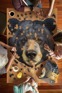 I Am Bear Forest Animal
