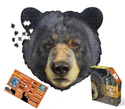 I Am Bear Forest Animal