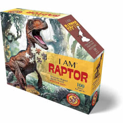 I Am Raptor Dinosaurs