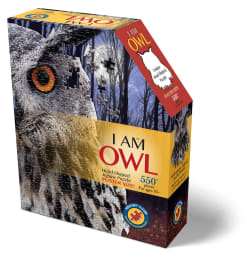 I AM Owl Birds