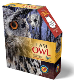 I Am Owl Birds