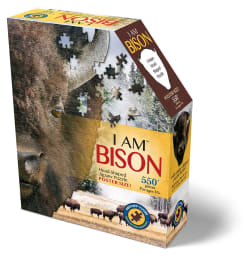 I Am Bison Animals
