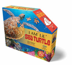 I Am Lil' Sea Turtle Animals