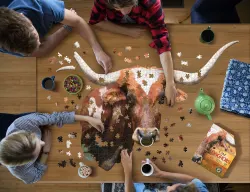 I Am Longhorn Animals