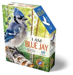 I Am Blue Jay Birds