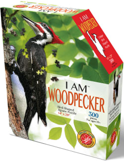 I AM WOODPECKER Birds