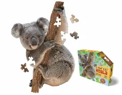 I Am Lil' Koala Animals