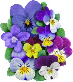 I Am Violet Flower & Garden
