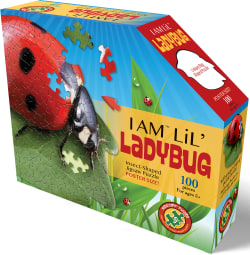 I Am Lil' Lady Bug Butterflies and Insects