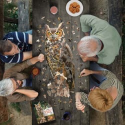 I AM GREAT HORNED OWL Birds