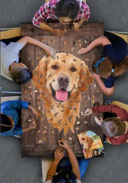 I AM  GOLDEN - Scratch and Dent Dogs
