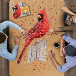 I Am Cardinal - Scratch and Dent Birds