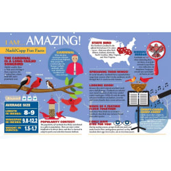 I Am Cardinal - Scratch and Dent Birds