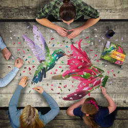 I Am Hummingbird Birds