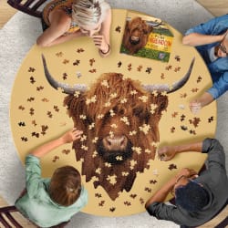 I Am Highland Cow Animals